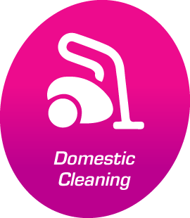 Domestic Cleaning